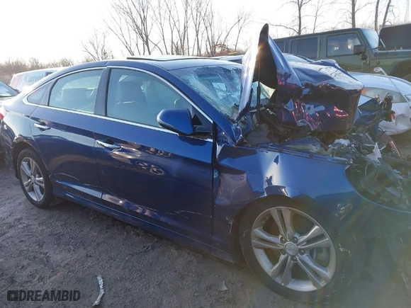 2018 Hyundai Sonata SEL with VIN 5NPE34AF9JH685210, listed as a IAAI auction lot 41713092 with 1 mi miles. Bid and sale history available at carsss.com. Image 13.