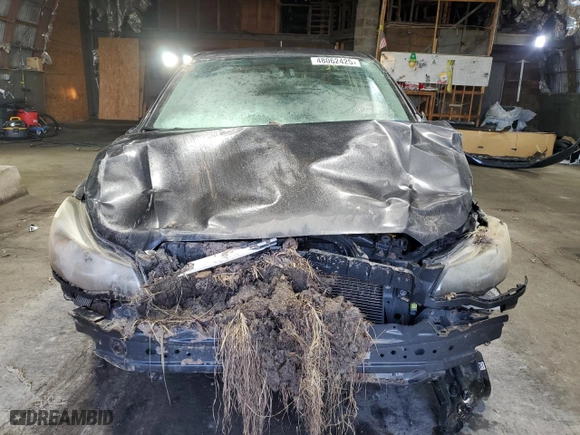 2014 Subaru Impreza Wagon 2.0i Premium with VIN JF1GPAC67E8249376, listed as a Copart auction lot 48062425 with 0 mi miles and Salvage Title. Bid and sale history available at carsss.com. Image 5.