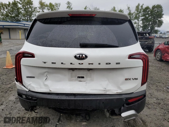 2020 Kia Telluride EX with VIN 5XYP3DHC2LG046777, listed as a Copart auction lot 57917025 with 66,494 mi miles and Salvage title. Bid and sale history available at DreamBid. Image 6.