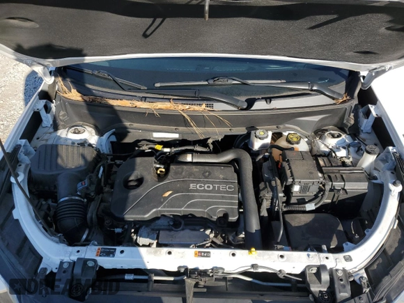 2019 Chevrolet Equinox LT with VIN 3GNAXTEV2KL333416, listed as a Copart auction lot 82690024 with 65,238 mi miles and Salvage Title. Bid and sale history available at DreamBid. Image 12.