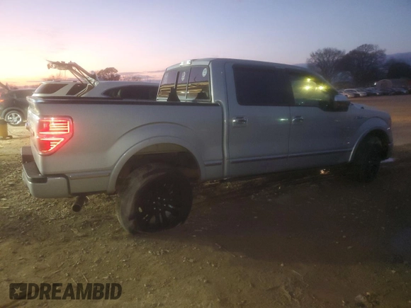 2009 Ford F-150 XL with VIN 1FTPW14V29FA39062, listed as a Copart auction lot 44239455 with 231,207 mi miles and Salvage title. Bid and sale history available at DreamBid. Image 3.