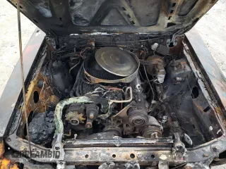1986 Ford Mustang с VIN 1FABP27M0GF194051, выставлен на аукционе Copart как лот 49267295 с пробегом Не указан миль и Чистый • Clean title. История ставок и продаж доступна на DreamBid. Изображение 11.