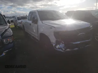 2020 Ford F-250 XL with VIN 1FT7X2A68LEE08102, listed as a Copart auction lot 84545454 with 119,381 mi miles and Salvage title. Bid and sale history available at DreamBid. Image 4.