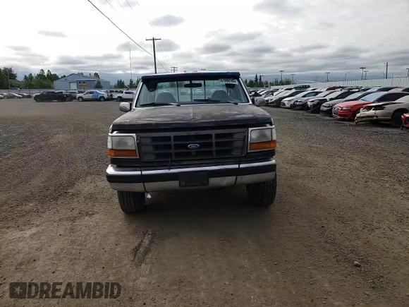 1993 Ford F-150 with VIN 1FTEX14N2PKB50753, listed as a Copart auction lot 61099185 with 144,074 mi miles and Salvage title. Bid and sale history available at DreamBid. Image 13.
