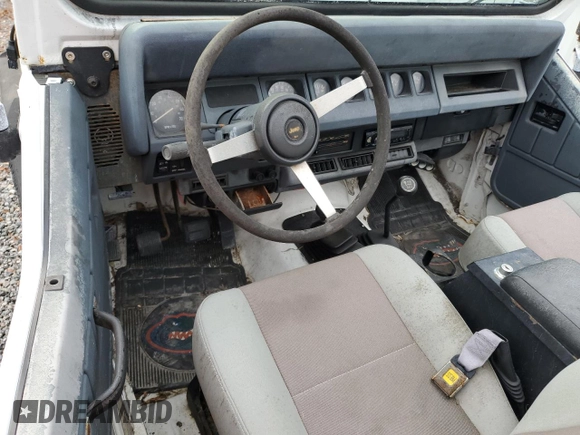 1991 Jeep Wrangler with VIN 2J4FY29S5MJ117273, listed as a Copart auction lot 79791584 with 1,995,086 mi miles and Non Repairable. Bid and sale history available at carsss.com. Image 8.