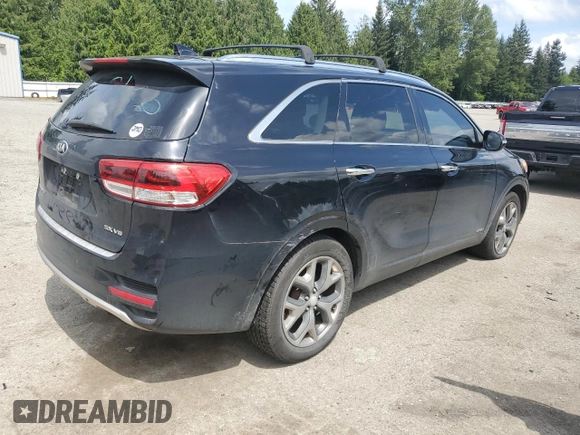 2017 Kia Sorento SX with VIN 5XYPKDA54HG220483, listed as a Copart auction lot 58225025 with 119,376 mi miles and Clean title. Bid and sale history available at DreamBid. Image 3.