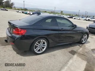 2016 BMW 2 Series 228i z VIN WBA1F9C58GV742509, wystawiony jako Copart lot #53211755 z przebiegiem 91 200 mil mil oraz Szkoda całkowita • Salvage title. Historia ofert i sprzedaży dostępna na DreamBid. Obrazek 3.