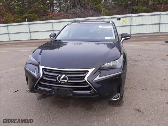 2016 Lexus NX 200t with VIN JTJYARBZ9G2043828, listed as a Copart auction lot 73540862 with 42,824 mi miles. Bid and sale history available at carsss.com. Image 13.