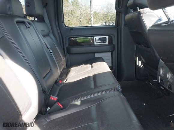 2013 Ford F-150 XL with VIN 1FTFW1EF2DFA12875, listed as a IAAI auction lot 41699585 with 123,703 mi miles. Bid and sale history available at carsss.com. Image 8.