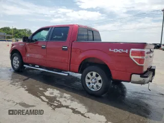 2011 Ford F-150 XLT z VIN 1FTFW1ET7BFC63815, wystawiony jako Copart lot #62466015 z przebiegiem 199 386 mil mil oraz Szkoda całkowita • Salvage title. Historia ofert i sprzedaży dostępna na DreamBid. Obrazek 2.