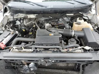 2009 Ford F-150 XL with VIN 1FTRF12W89KB80567, listed as a Copart auction lot 55315305 with 144,411 mi miles and Salvage Title. Bid and sale history available at carsss.com. Image 11.