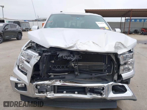 2017 Ford F-150 XL with VIN 1FTEW1CG2HKE13380, listed as a IAAI auction lot 41618638 with 41,225 mi miles. Bid and sale history available at carsss.com. Image 6.