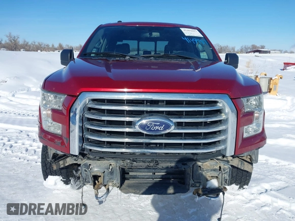 2016 Ford F-150 XLT with VIN 1FTFW1EG1GKD16719, listed as a IAAI auction lot 41494417 with 124,063 mi miles. Bid and sale history available at carsss.com. Image 6.