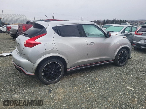 2013 Nissan Juke S with VIN JN8AF5MVXDT219143, listed as a Copart auction lot 49117665 with Not Provided miles and Salvage Title. Bid and sale history available at DreamBid. Image 3.