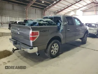 2013 Ford F-150 XL with VIN 1FTFW1ET6DFA01819, listed as a Copart auction lot 65373445 with Not provided miles and Clean title. Bid and sale history available at DreamBid. Image 3.