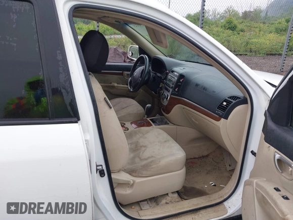 2007 Hyundai Santa Fe SE with VIN 5NMSH73E67H126018, listed as a IAAI auction lot 42309323 with Not provided miles and . Bid and sale history available at DreamBid. Image 5.