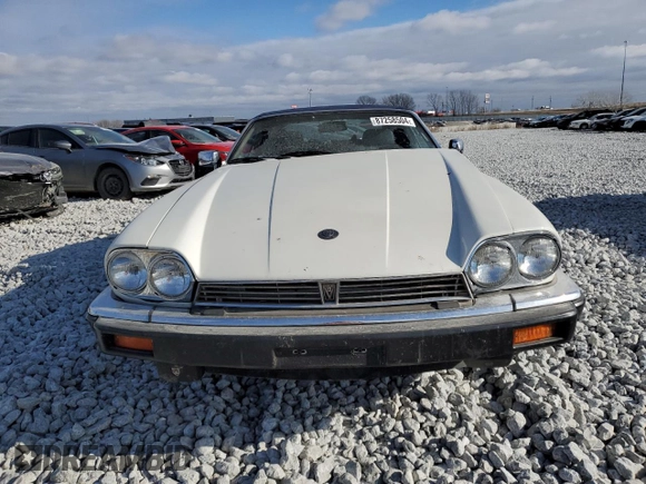 1989 Jaguar XJS z VIN SAJNV4847KC164497, wystawiony jako Copart lot #87258504 z przebiegiem 90 299 mil mil oraz Szkody całkowita. Historia ofert i sprzedaży dostępna na DreamBid. Obrazek 5.