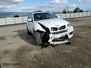 2010 BMW X5 M with VIN 5YMGY0C55ALK25116, listed as a Copart auction lot 45366595 with 183,798 mi miles and Salvage Title. Bid and sale history available at carsss.com. Image 10.