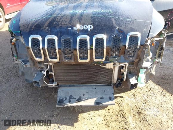 2018 Jeep Cherokee Latitude Plus with VIN 1C4PJLLB1JD513441, listed as a IAAI auction lot 41645225 with 123,986 mi miles and . Bid and sale history available at DreamBid. Image 6.
