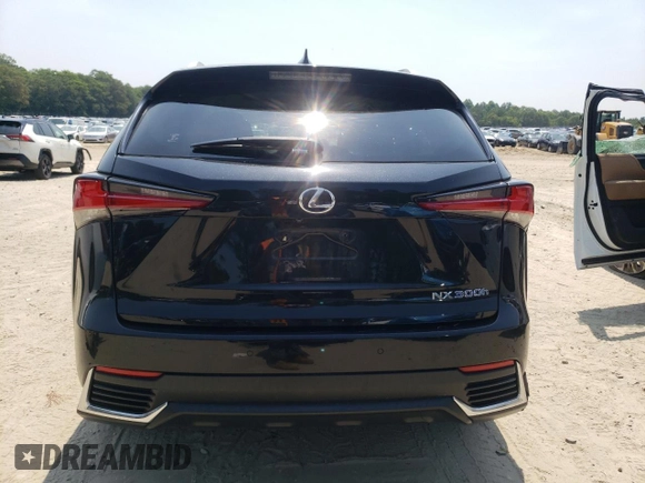 2019 Lexus NX 300h with VIN JTJBJRBZ3K2104833, listed as a Copart auction lot 60266395 with 109,030 mi miles and Salvage title. Bid and sale history available at DreamBid. Image 6.