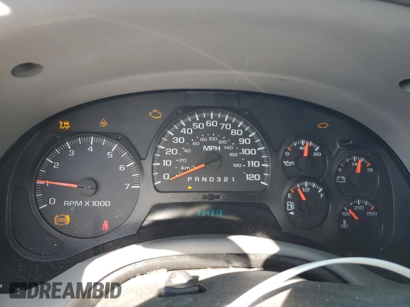 2006 Chevrolet TrailBlazer LS with VIN 1GNET16SX66122387, listed as a Copart auction lot 49330125 with 234,313 mi miles and Salvage Title. Bid and sale history available at DreamBid. Image 9.