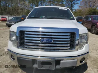 2010 Ford F-150 XL with VIN 1FTEW1C87AFD70646, listed as a Copart auction lot 53051625 with 162,396 mi miles and Salvage Title. Bid and sale history available at carsss.com. Image 5.