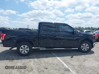 2016 Ford F-150 XL with VIN 1FTEW1CF4GFA15604, listed as a IAAI auction lot 41988517 with 140,676 mi miles and . Bid and sale history available at carsss.com. Image 13.