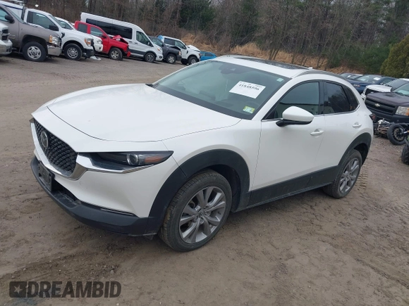 2021 Mazda CX-30 Premium with VIN 3MVDMBDM8MM216520, listed as a IAAI auction lot 41848596 with 60,353 mi miles and . Bid and sale history available at DreamBid. Image 17.