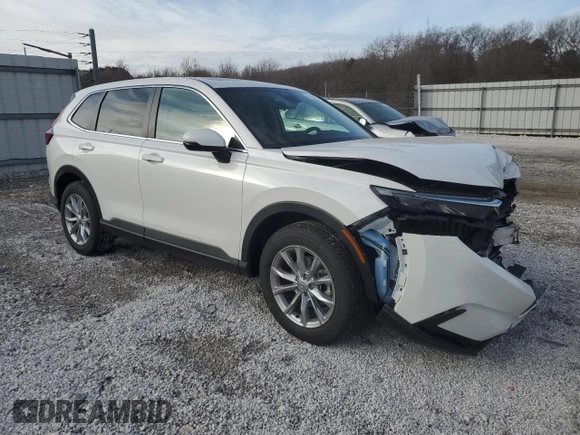 2025 Honda CR-V EX with VIN 2HKRS4H48SH437170, listed as a Copart auction lot 42951505 with 1,464 mi miles and Salvage Title. Bid and sale history available at DreamBid. Image 4.