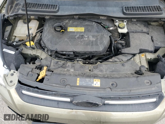 2013 Ford Escape SE with VIN 1FMCU0GX2DUB80872, listed as a Copart auction lot 85800144 with 98,304 mi miles and Salvage Title. Bid and sale history available at DreamBid. Image 14.