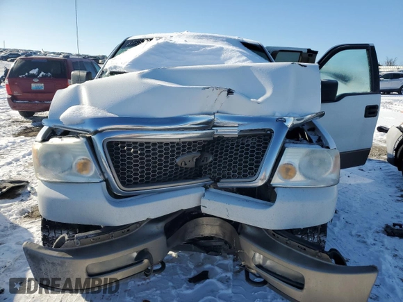 2005 Ford F-150 XLT with VIN 1FTPX14555NA48125, listed as a Copart auction lot 46129885 with 203,695 mi miles and Salvage Title. Bid and sale history available at carsss.com. Image 13.
