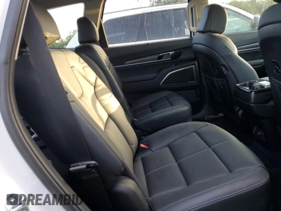 2024 Kia Telluride EX with VIN 5XYP3DGC1RG477153, listed as a Copart auction lot 76057864 with Not Provided miles and Non Repairable. Bid and sale history available at carsss.com. Image 11.