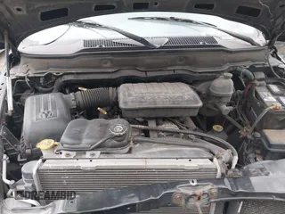 2002 Dodge 1500 with VIN 1D7HA18N32S620425, listed as a IAAI auction lot 42148959 with 263,500 mi miles and . Bid and sale history available at DreamBid. Image 10.