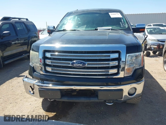 2013 Ford F-150 XL with VIN 1FTFW1EF0DKE28091, listed as a IAAI auction lot 42008722 with 256,071 mi miles. Bid and sale history available at carsss.com. Image 12.