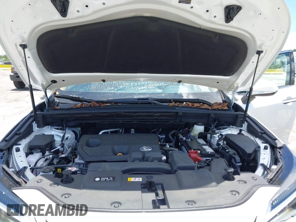 2025 Lexus NX 250 Premium with VIN 2T2GDCAZ5SC025045, listed as a IAAI auction lot 42577944 with Not provided miles and . Bid and sale history available at DreamBid. Image 10.