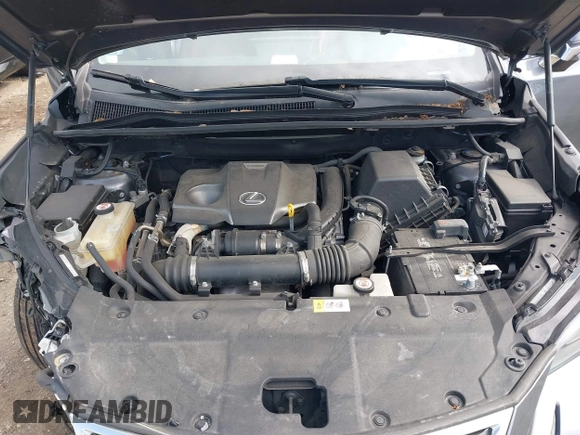 2018 Lexus NX 300 with VIN JTJBARBZ9J2150391, listed as a IAAI auction lot 42290713 with 91,653 mi miles and . Bid and sale history available at DreamBid. Image 10.