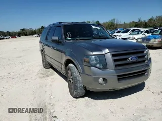 2010 Ford Expedition Limited with VIN 1FMJU1K51AEB64381, listed as a Copart auction lot 49252635 with 180,485 mi miles and Salvage title. Bid and sale history available at DreamBid. Image 12.