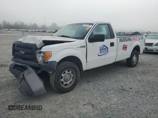 2014 Ford F-150 XL with VIN 1FTMF1CM7EKD61547, listed as a Copart auction lot 74311804 with 175,203 mi miles and Salvage title. Bid and sale history available at DreamBid. Image 1.