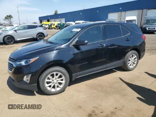 2018 Chevrolet Equinox LS with VIN 2GNAXHEV5J6202075, listed as a Copart auction lot 54198335 with 162,289 mi miles and Clean Title. Bid and sale history available at DreamBid. Image 1.