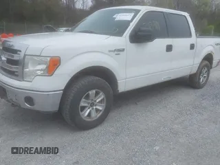 2013 Ford F-150 XL with VIN 1FTFW1EF8DKF20839, listed as a IAAI auction lot 41906614 with 243,411 mi miles and . Bid and sale history available at carsss.com. Image 2.
