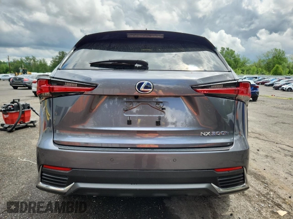 2020 Lexus NX 300h with VIN JTJGJRDZ9L2143138, listed as a Copart auction lot 59030775 with 31,817 mi miles and Salvage title. Bid and sale history available at DreamBid. Image 6.