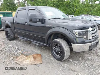 2010 Ford F-150 XL with VIN 1FTEW1E89AFB27093, listed as a IAAI auction lot 42202053 with 228,796 mi miles and . Bid and sale history available at DreamBid. Image 1.