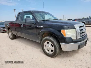 2010 Ford F-150 XL with VIN 1FTEX1C89AFC65751, listed as a Copart auction lot 60887175 with 189,616 mi miles and Clean title. Bid and sale history available at DreamBid. Image 4.