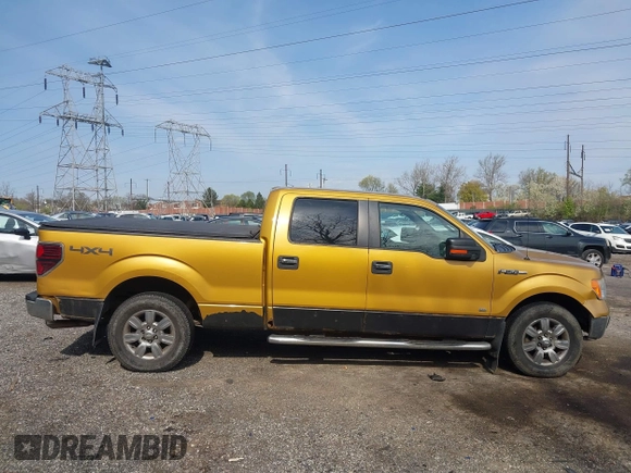 2009 Ford F-150 XL with VIN 1FTPW14V49KC41926, listed as a IAAI auction lot 42010884 with 132,529 mi miles. Bid and sale history available at carsss.com. Image 13.