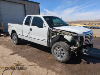 2012 Ford F-150 XL with VIN 1FTFX1ETXCFC98234, listed as a Copart auction lot 49923535 with 150,106 mi miles and Salvage title. Bid and sale history available at DreamBid. Image 4.
