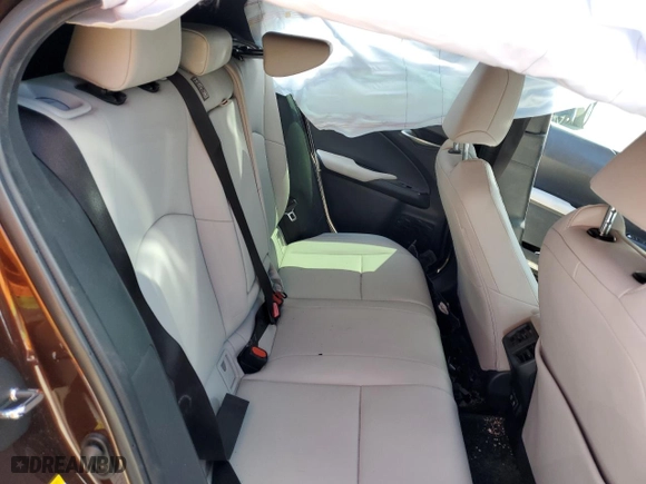 2019 Lexus UX with VIN JTHU9JBH7K2001412, listed as a Copart auction lot 50599173 with 36,574 mi miles. Bid and sale history available at carsss.com. Image 11.