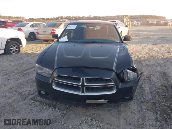 2013 Dodge Charger RT with VIN 2C3CDXCT4DH696609, listed as a IAAI auction lot 40979934 with 118,148 mi miles. Bid and sale history available at carsss.com. Image 11.