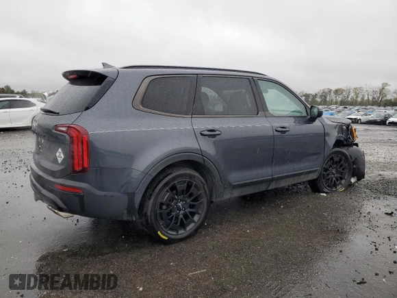 2022 Kia Telluride EX with VIN 5XYP3DHC2NG255732, listed as a Copart auction lot 52604795 with 32,117 mi miles and Salvage title. Bid and sale history available at DreamBid. Image 3.