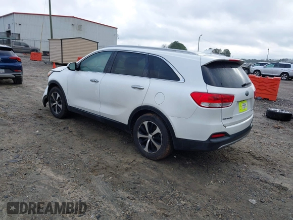 2017 Kia Sorento EX with VIN 5XYPH4A13HG294599, listed as a IAAI auction lot 41207089 with 41,642 mi miles and . Bid and sale history available at DreamBid. Image 3.