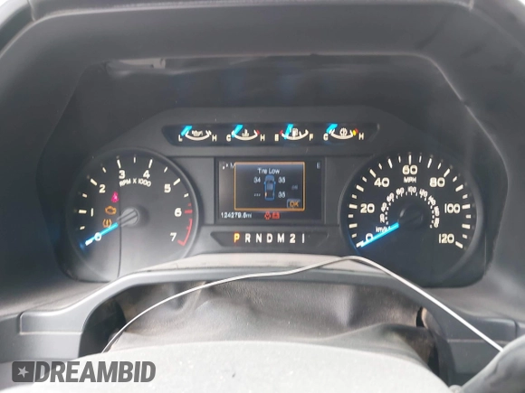 2017 Ford F-150 XL with VIN 1FTFX1EF0HFA09802, listed as a IAAI auction lot 42062781 with 124,279 mi miles. Bid and sale history available at carsss.com. Image 7.